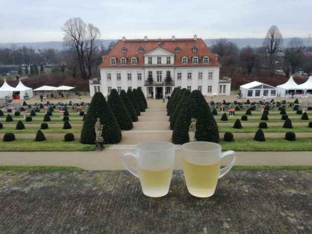 Zámek Wackerbarth, Sasko, vinařství, manufaktura na sekt