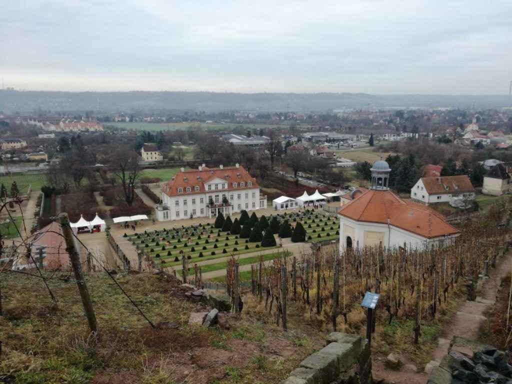 Zámek Wackerbarth, Sasko, vinařství, manufaktura na sekt