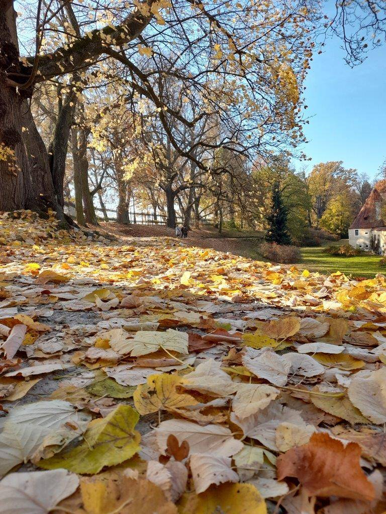 Třeboň, zámecký park, podzim, chateau park, autumn