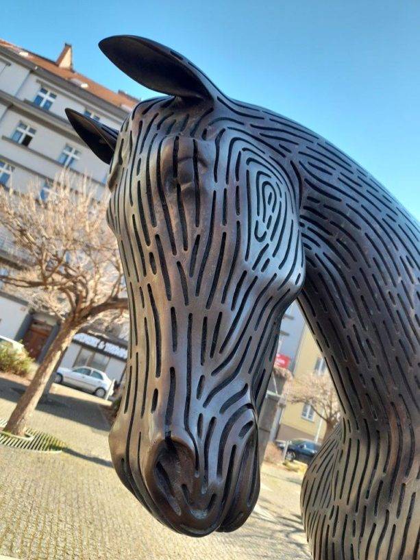 Šabachův park, Praha, kůň, horses. Prague e